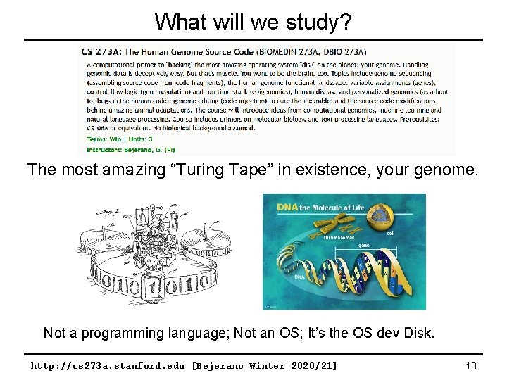 What will we study? The most amazing “Turing Tape” in existence, your genome. Not