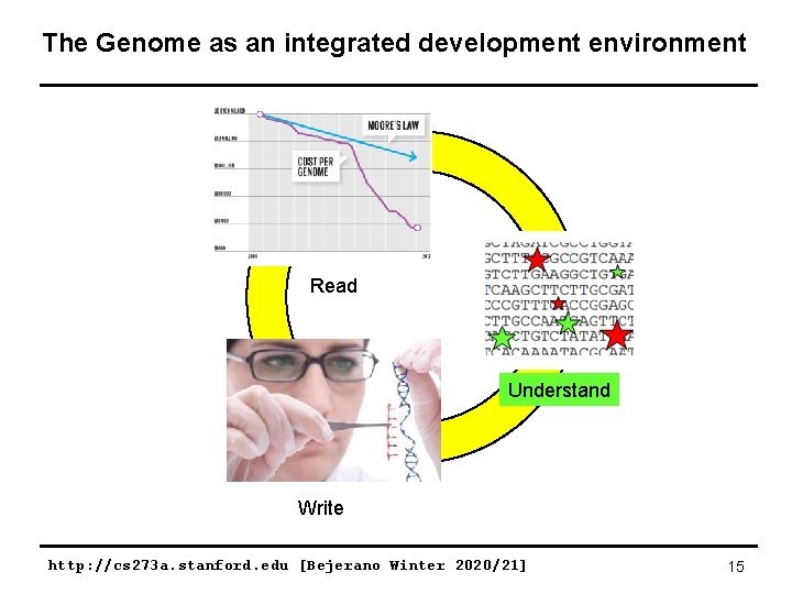 The Genome as an integrated development environment Read Understand Write http: //cs 273 a.