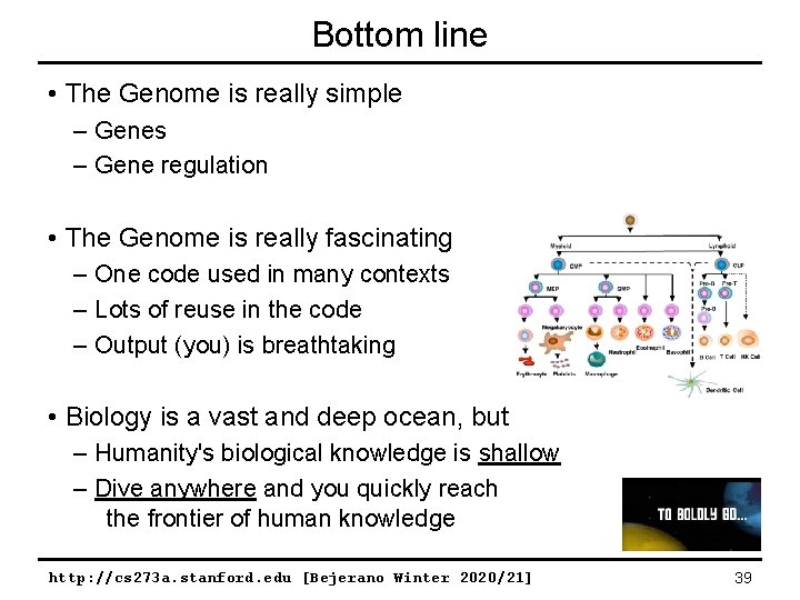 Bottom line • The Genome is really simple – Genes – Gene regulation •