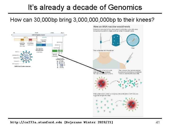 It’s already a decade of Genomics How can 30, 000 bp bring 3, 000,