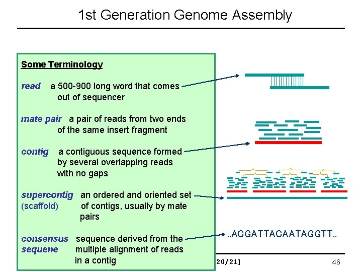 1 st Generation Genome Assembly Some Terminology 1. Find overlapping readsthat comes read a