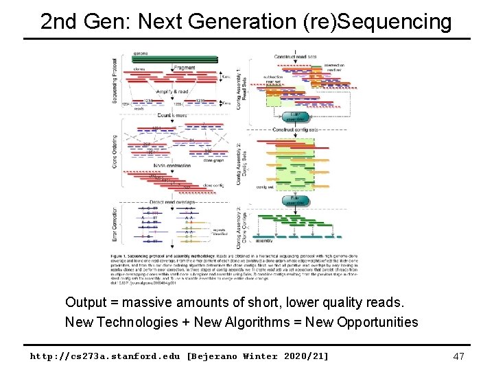 2 nd Gen: Next Generation (re)Sequencing Output = massive amounts of short, lower quality