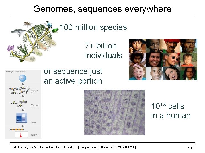 Genomes, sequences everywhere 100 million species 7+ billion individuals or sequence just an active
