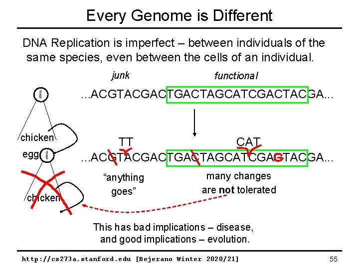 Every Genome is Different DNA Replication is imperfect – between individuals of the same