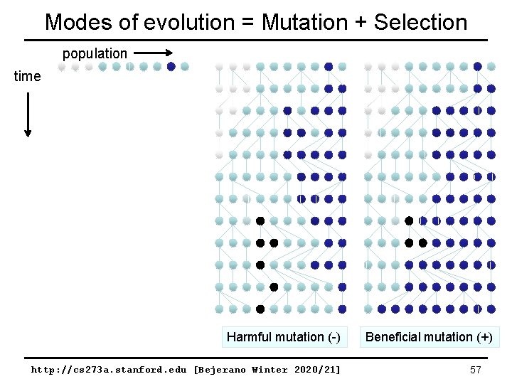 Modes of evolution = Mutation + Selection population time Don’t care (0) Harmful mutation
