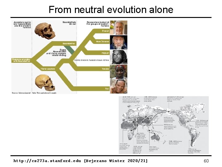 From neutral evolution alone http: //cs 273 a. stanford. edu [Bejerano Winter 2020/21] 60