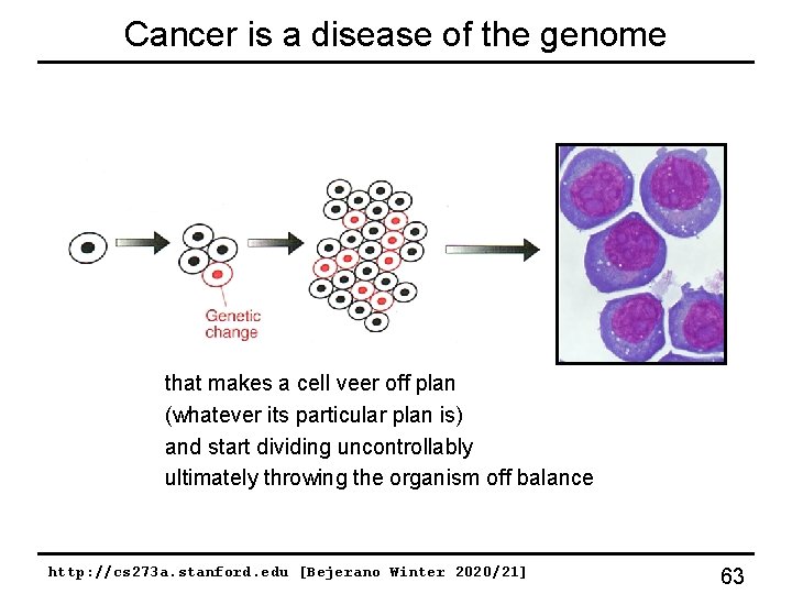 Cancer is a disease of the genome that makes a cell veer off plan