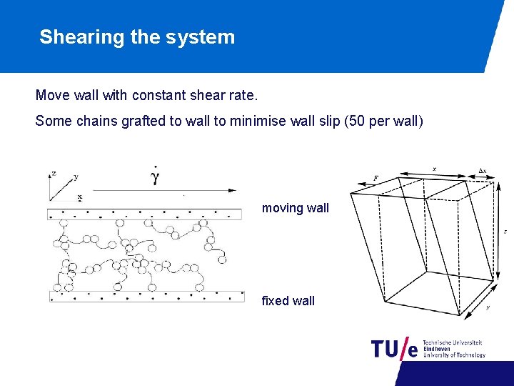 Shearing the system Move wall with constant shear rate. Some chains grafted to wall
