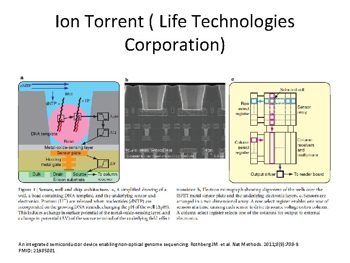 Ion Torrent ( Life Technologies Corporation) An integrated semiconductor device enabling non-optical genome sequencing.