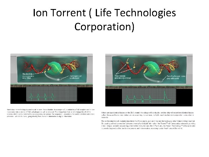 Ion Torrent ( Life Technologies Corporation) 