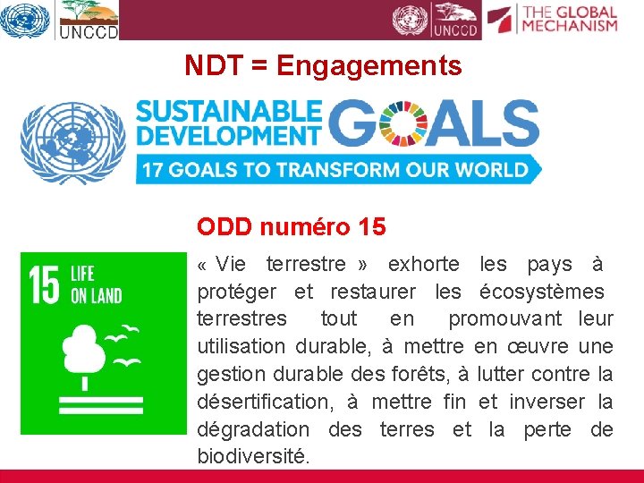 NDT = Engagements ODD numéro 15 « Vie terrestre » exhorte les pays à