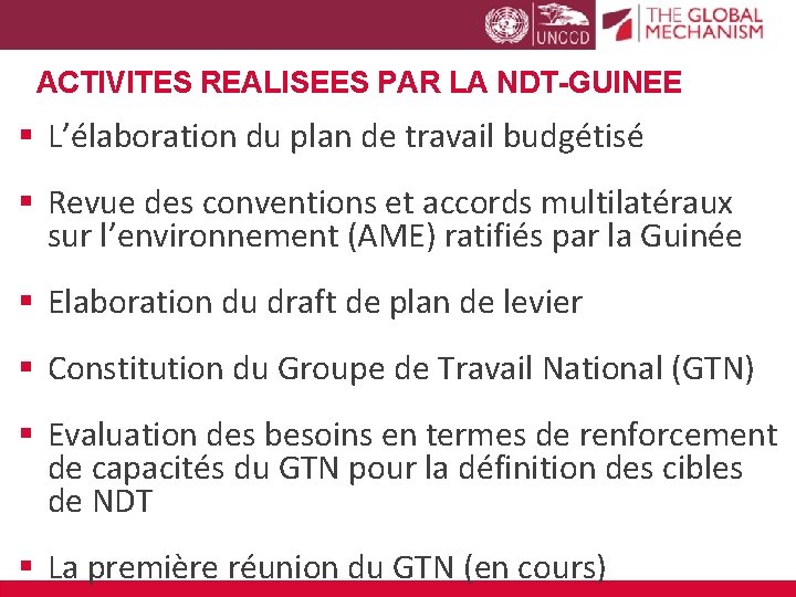 ACTIVITES REALISEES PAR LA NDT-GUINEE § L’élaboration du plan de travail budgétisé § Revue