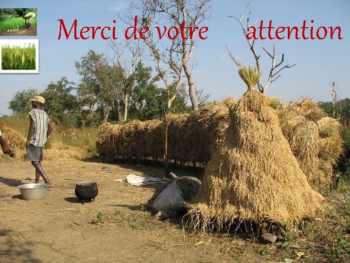 Merci de votre attention 