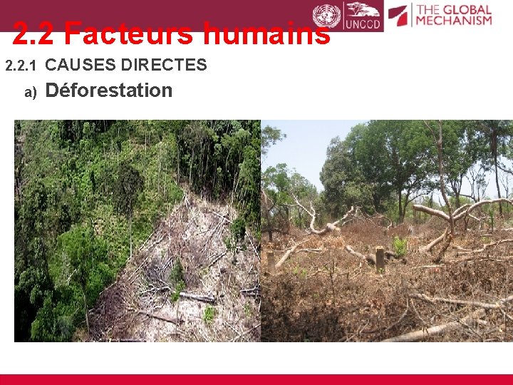 2. 2 Facteurs humains 2. 2. 1 CAUSES DIRECTES a) Déforestation 