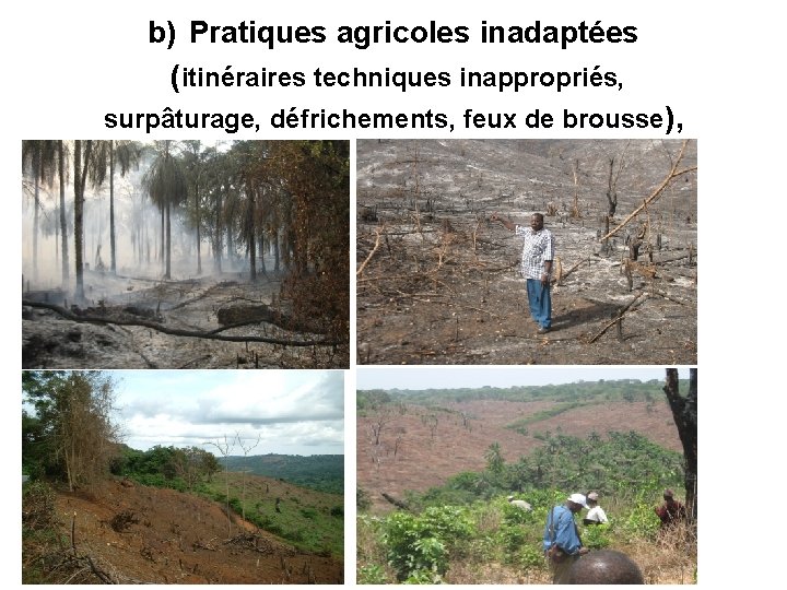 b) Pratiques agricoles inadaptées (itinéraires techniques inappropriés, surpâturage, défrichements, feux de brousse), 