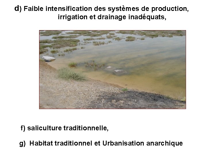 d) Faible intensification des systèmes de production, irrigation et drainage inadéquats, f) saliculture traditionnelle,