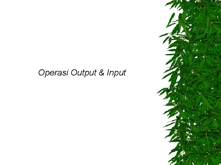 Operasi Output & Input 