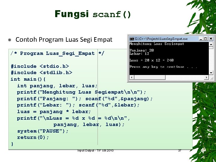 Fungsi scanf() Contoh Program Luas Segi Empat /* Program Luas_Segi_Empat */ #include <stdio. h>