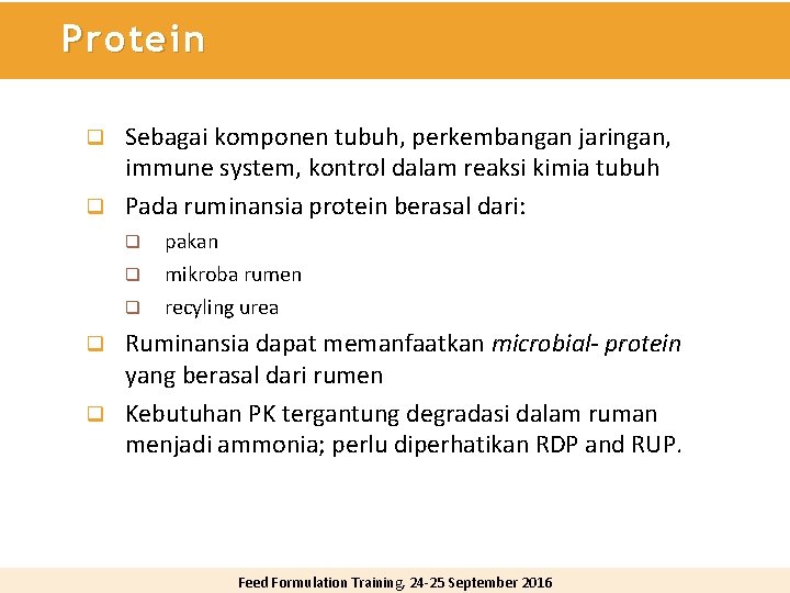 Protein Sebagai komponen tubuh, perkembangan jaringan, immune system, kontrol dalam reaksi kimia tubuh q