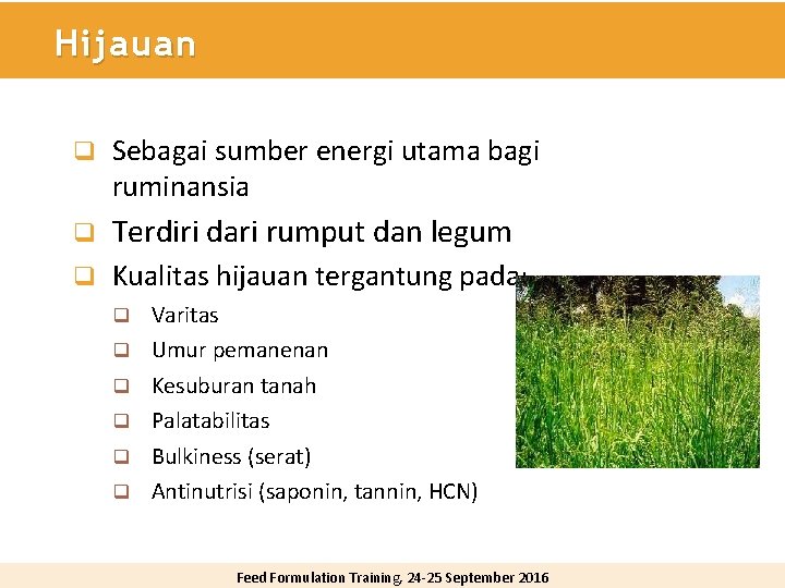 Hijauan q Sebagai sumber energi utama bagi ruminansia q Terdiri dari rumput dan legum