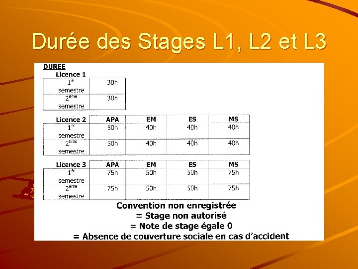 Durée des Stages L 1, L 2 et L 3 