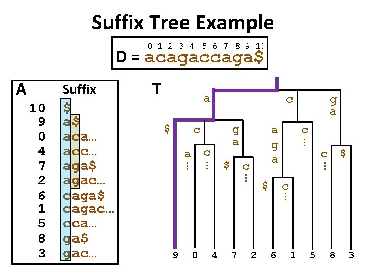 Suffix Tree Example 0 1 2 3 4 5 6 7 8 9 10