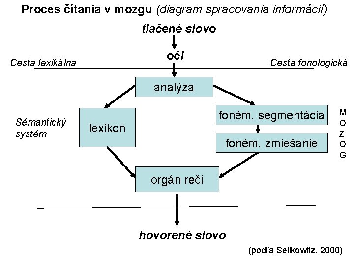 Proces čítania v mozgu (diagram spracovania informácií) tlačené slovo oči Cesta lexikálna Cesta fonologická