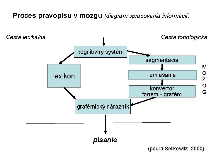 Proces pravopisu v mozgu (diagram spracovania informácií) Cesta lexikálna Cesta fonologická kognitívny systém segmentácia
