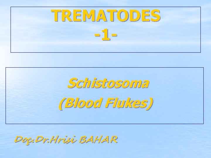 TREMATODES -1 Schistosoma (Blood Flukes) Doç. Dr. Hrisi BAHAR 