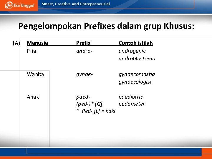 Pengelompokan Prefixes dalam grup Khusus: (A) Manusia Prefix andro- Contoh istilah androgenic androblastoma Wanita