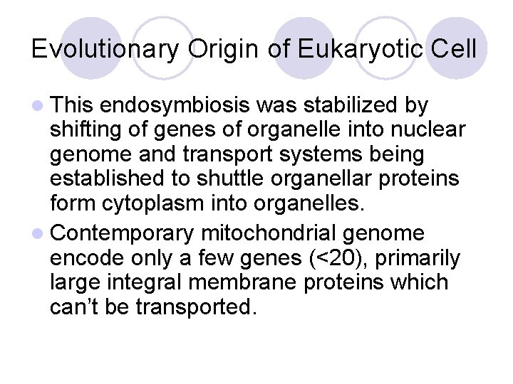 Evolutionary Origin of Eukaryotic Cell l This endosymbiosis was stabilized by shifting of genes