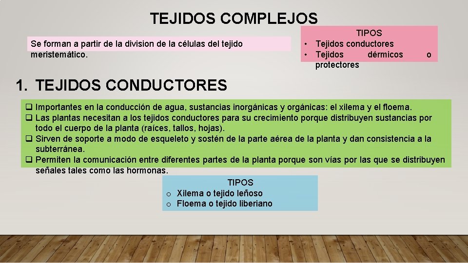TEJIDOS COMPLEJOS Se forman a partir de la division de la células del tejido