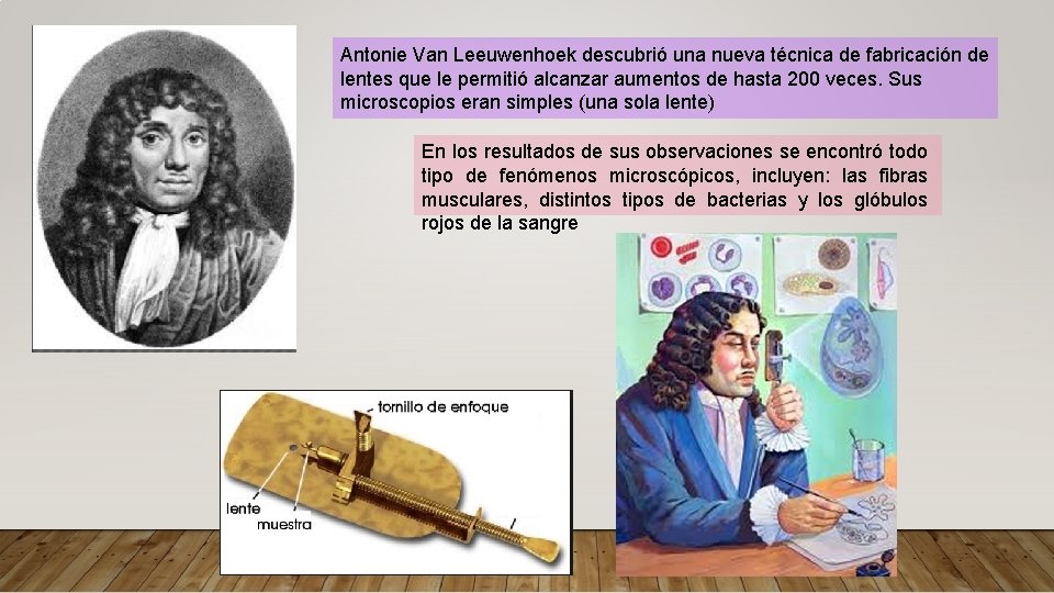 Antonie Van Leeuwenhoek descubrió una nueva técnica de fabricación de lentes que le permitió