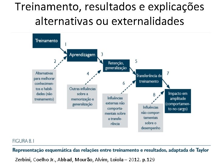 Treinamento, resultados e explicações alternativas ou externalidades Zerbini, Coelho Jr. , Abbad, Mourão, Alvim,
