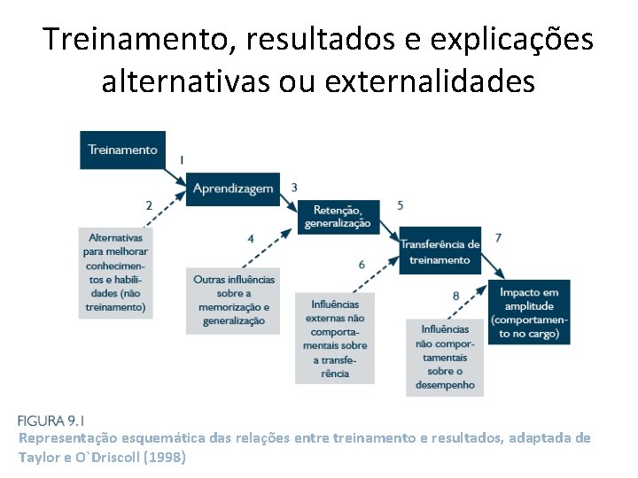 Treinamento, resultados e explicações alternativas ou externalidades Representação esquemática das relações entre treinamento e