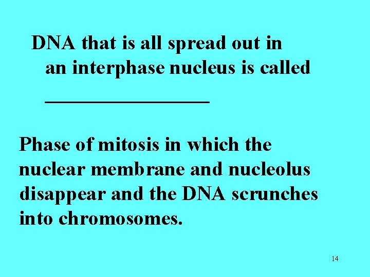 DNA that is all spread out in an interphase nucleus is called ________ Phase DNA that is all spread out in an interphase nucleus is called ________ Phase