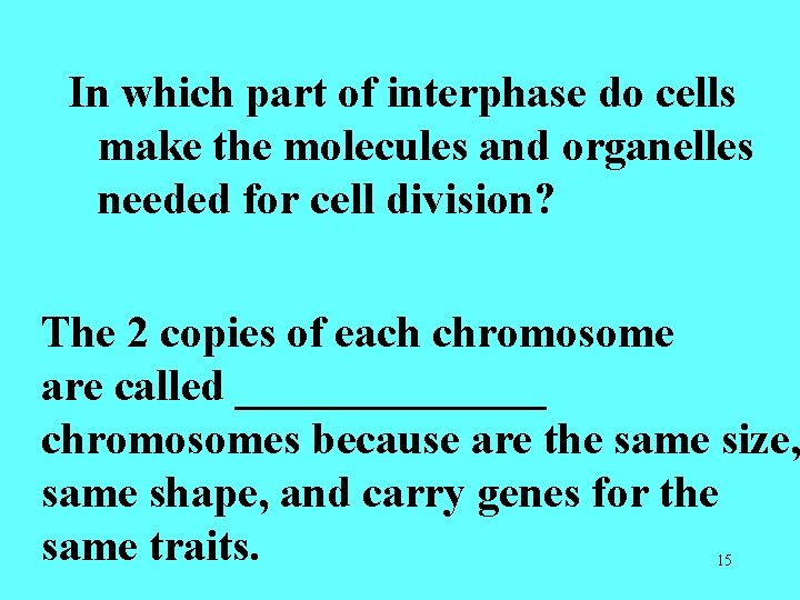 In which part of interphase do cells make the molecules and organelles needed for In which part of interphase do cells make the molecules and organelles needed for