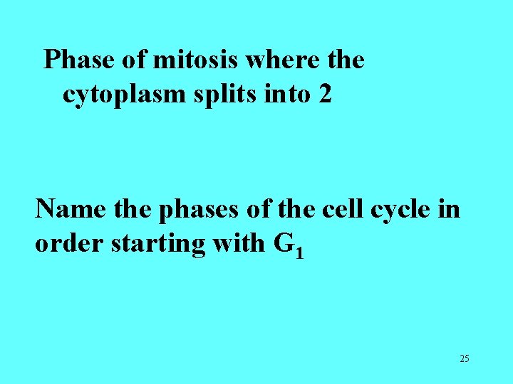 Phase of mitosis where the cytoplasm splits into 2 Name the phases of the Phase of mitosis where the cytoplasm splits into 2 Name the phases of the