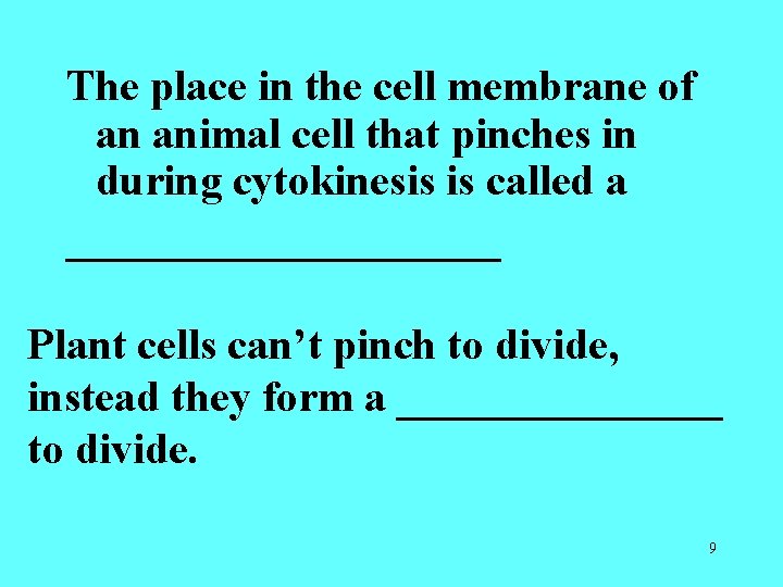 The place in the cell membrane of an animal cell that pinches in during The place in the cell membrane of an animal cell that pinches in during