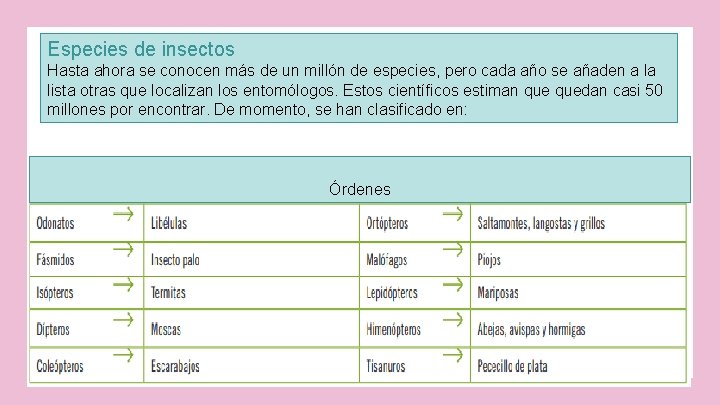 Especies de insectos Hasta ahora se conocen más de un millón de especies, pero