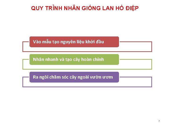 QUY TRÌNH NH N GIỐNG LAN HỒ ĐIỆP Vào mẫu tạo nguyên liệu khởi