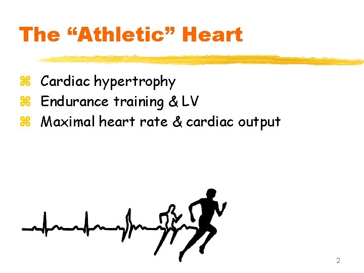 The “Athletic” Heart z Cardiac hypertrophy z Endurance training & LV z Maximal heart