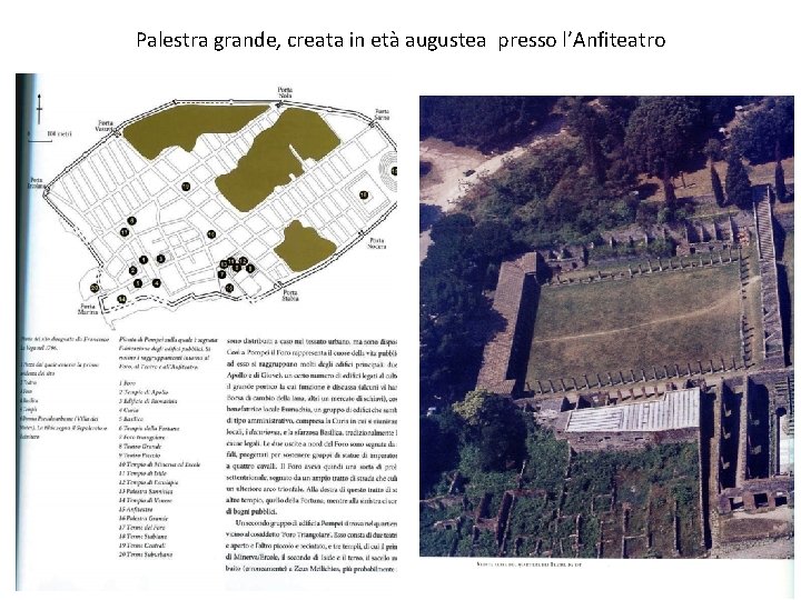 Palestra grande, creata in età augustea presso l’Anfiteatro 