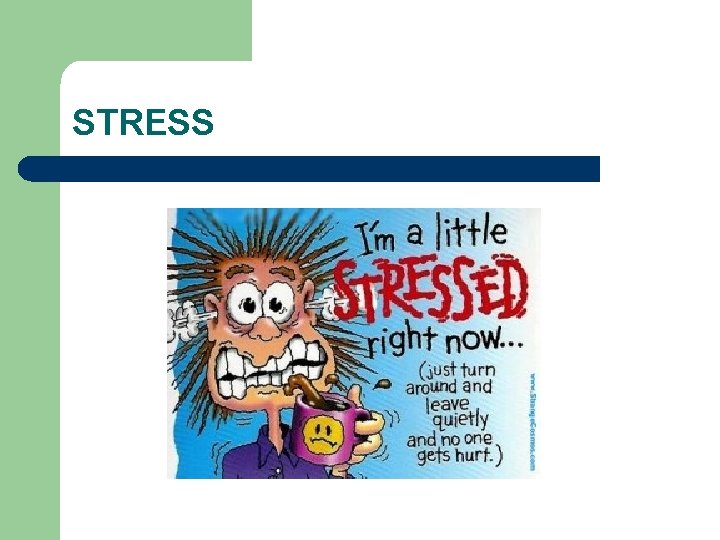 STRESS 