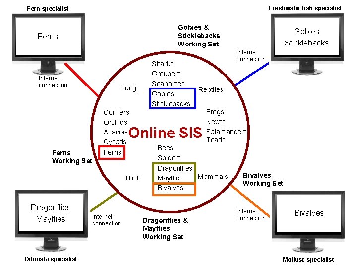 Freshwater fish specialist Fern specialist Gobies & Sticklebacks Working Set Ferns Internet connection Fungi