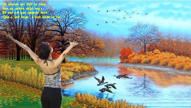 Un oiseau qui tes faitcheveux la roue blonds Le vent dans Sur un arbre