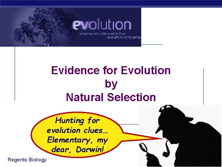 Evidence for Evolution by Natural Selection Hunting for evolution clues… Elementary, my dear, Darwin!