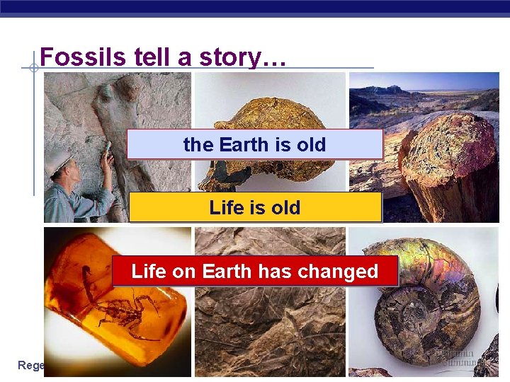 Fossils tell a story… the Earth is old Life on Earth has changed Regents