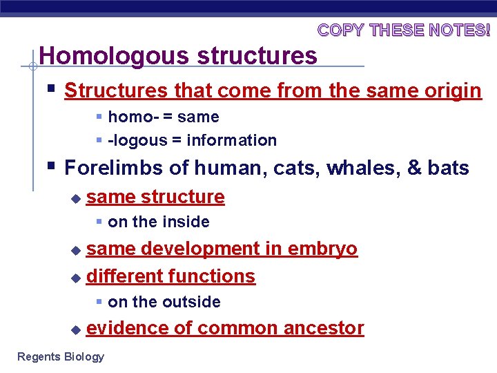 COPY THESE NOTES! Homologous structures § Structures that come from the same origin §