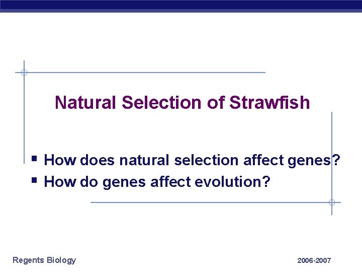 Natural Selection of Strawfish § How does natural selection affect genes? § How do